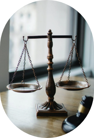 Imagen de la especialización