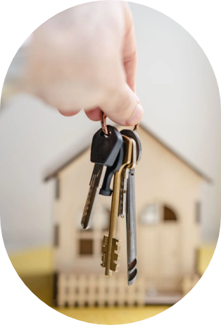 Imagen de la especialización